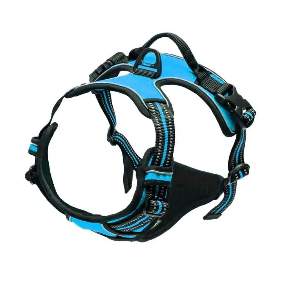 Hot Sale🎁Dog Collars & Leash Set – Durable Pet Collar with Leash for Training and Walking