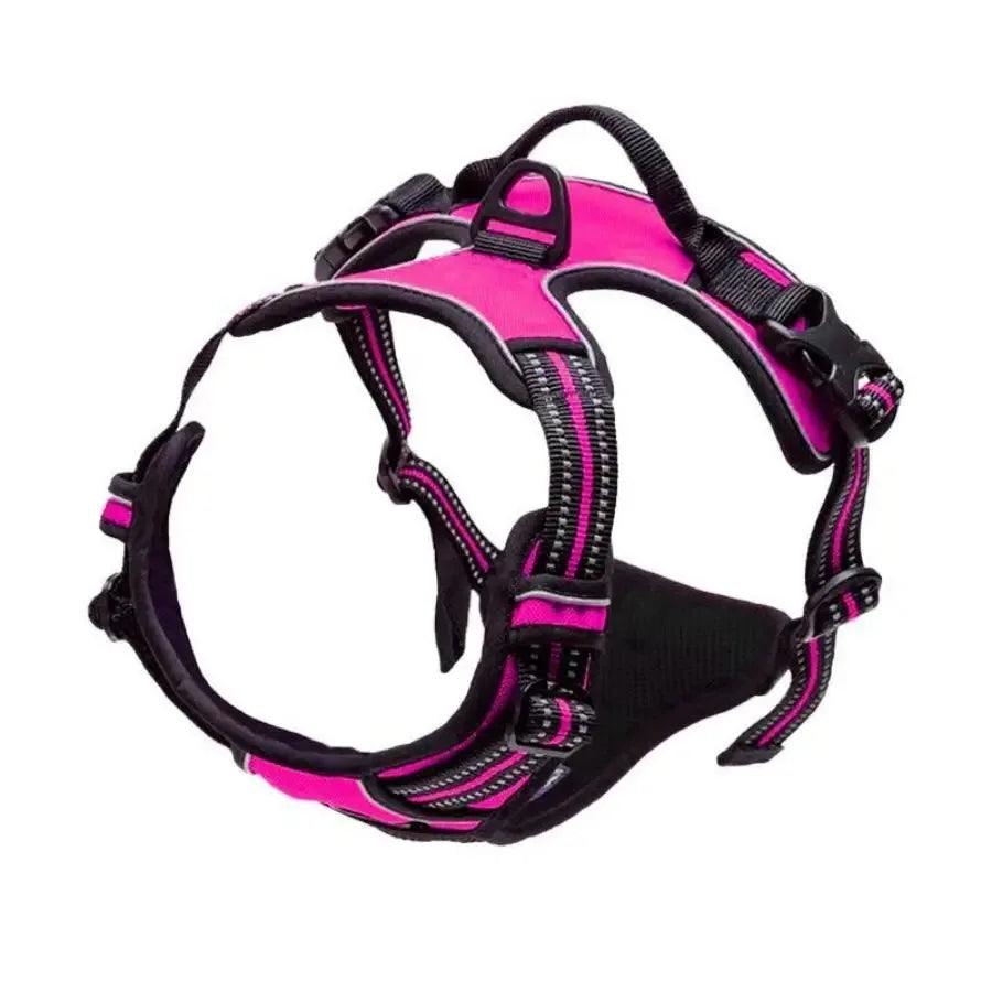Hot Sale🎁Dog Collars & Leash Set – Durable Pet Collar with Leash for Training and Walking