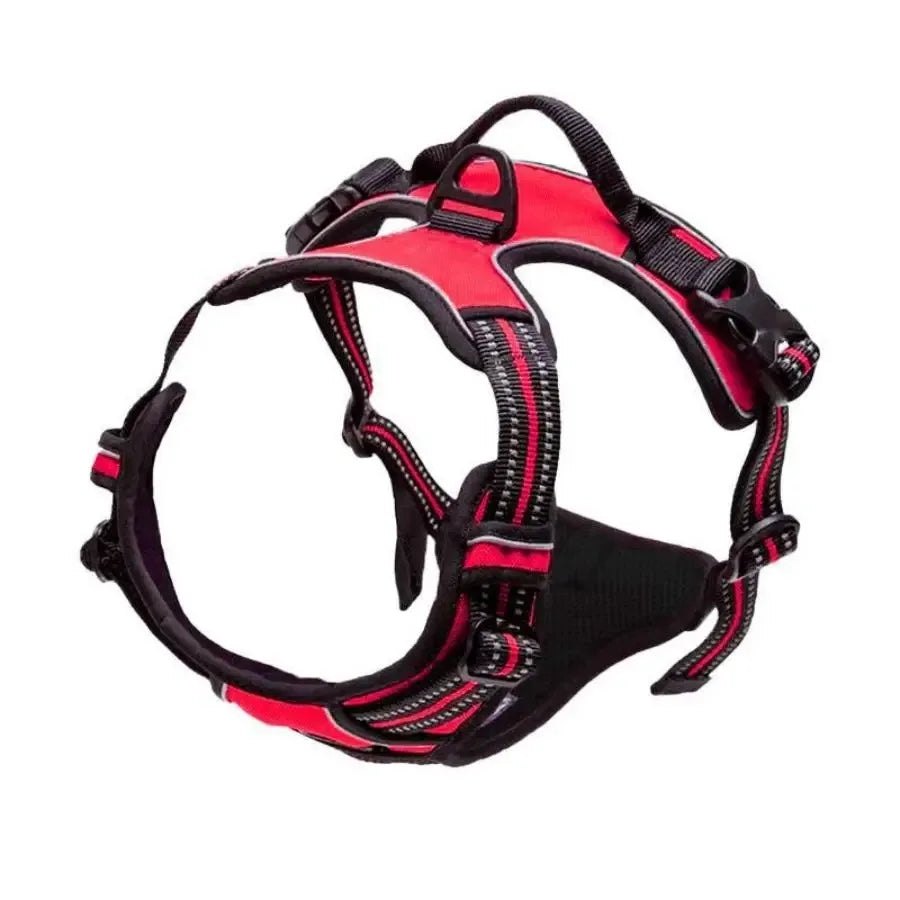 Hot Sale🎁Dog Collars & Leash Set – Durable Pet Collar with Leash for Training and Walking