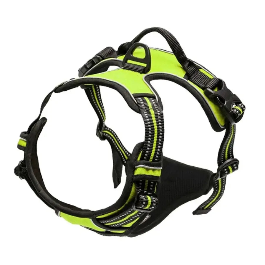 Hot Sale🎁Dog Collars & Leash Set – Durable Pet Collar with Leash for Training and Walking