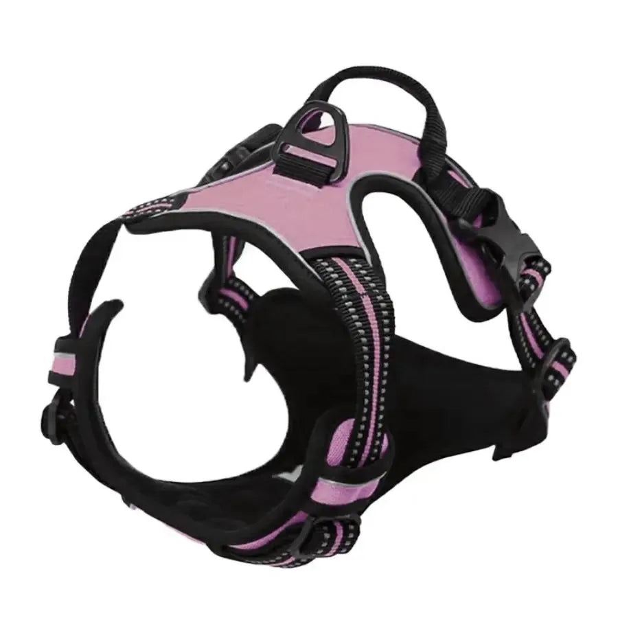 Hot Sale🎁Dog Collars & Leash Set – Durable Pet Collar with Leash for Training and Walking