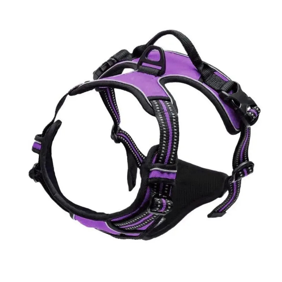 Hot Sale🎁Dog Collars & Leash Set – Durable Pet Collar with Leash for Training and Walking
