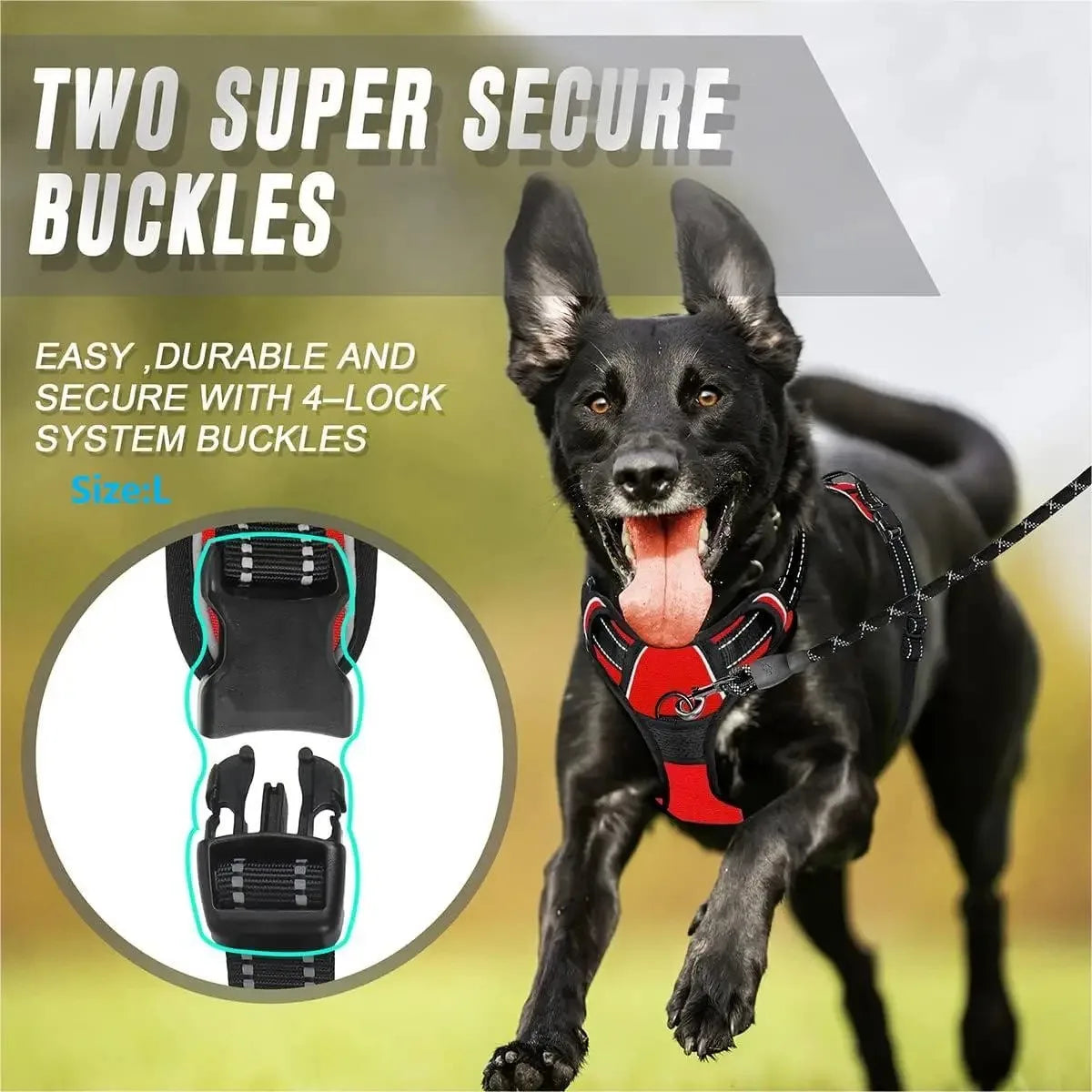 Hot Sale🎁Dog Collars & Leash Set – Durable Pet Collar with Leash for Training and Walking