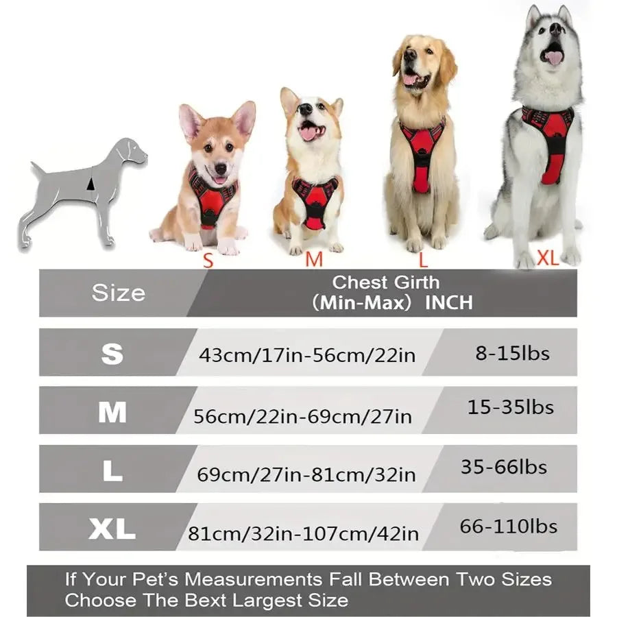 Hot Sale🎁Dog Collars & Leash Set – Durable Pet Collar with Leash for Training and Walking