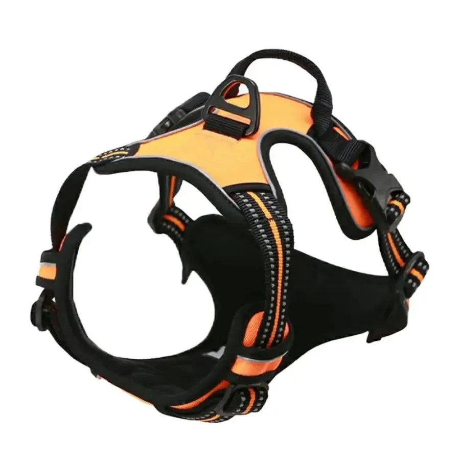 Hot Sale🎁Dog Collars & Leash Set – Durable Pet Collar with Leash for Training and Walking