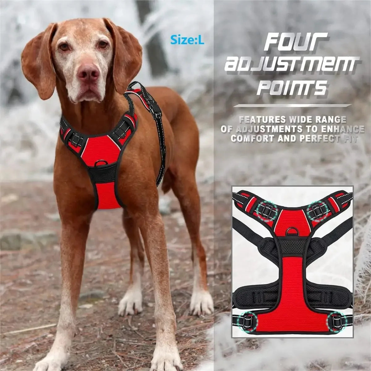 Hot Sale🎁Dog Collars & Leash Set – Durable Pet Collar with Leash for Training and Walking