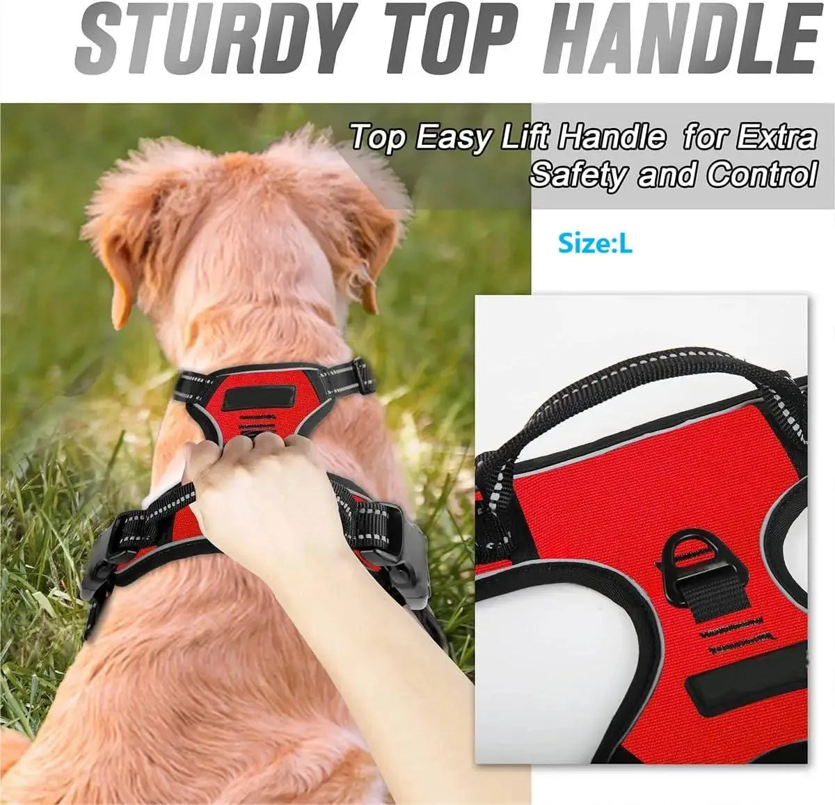 Hot Sale🎁Dog Collars & Leash Set – Durable Pet Collar with Leash for Training and Walking