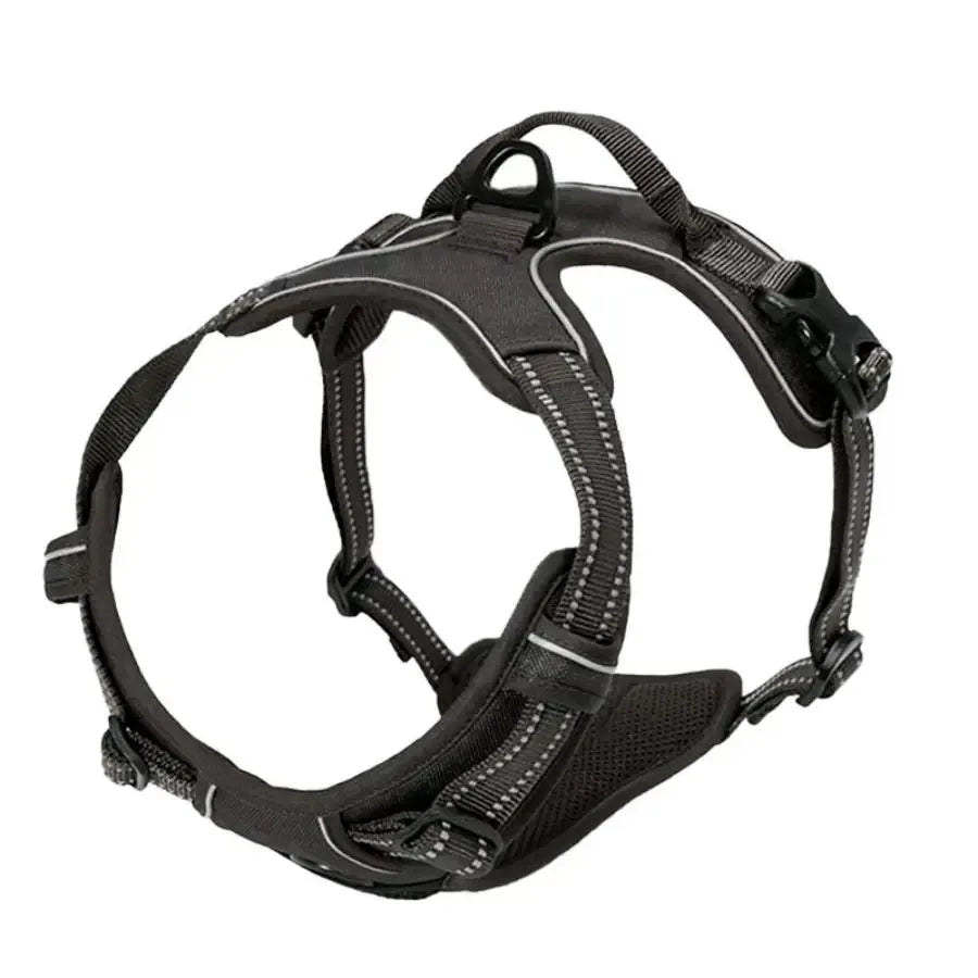 Hot Sale🎁Dog Collars & Leash Set – Durable Pet Collar with Leash for Training and Walking